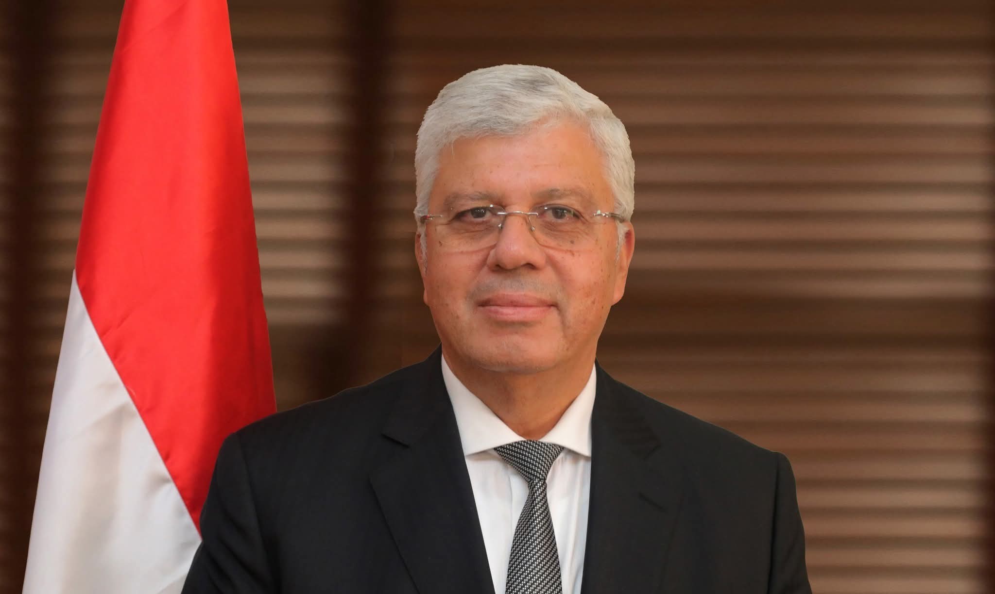 Prof. Mohamed Ayman Ashour